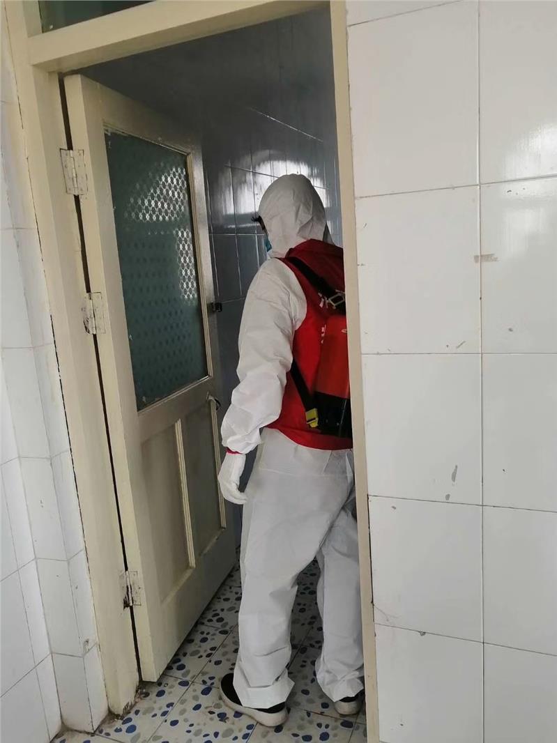 珠海專業(yè)除蟲(chóng)