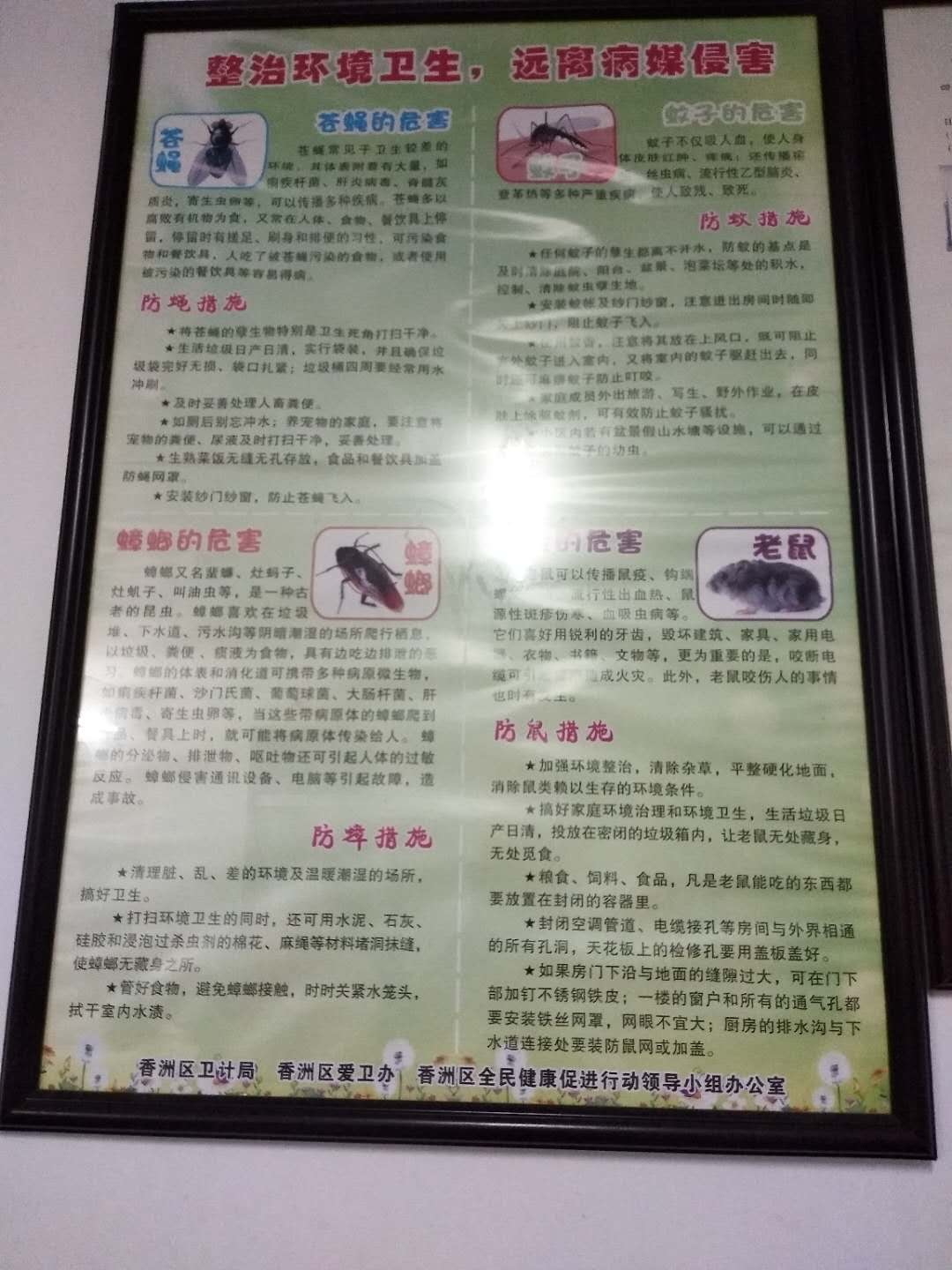 1590147677418699.jpg 33.jpg