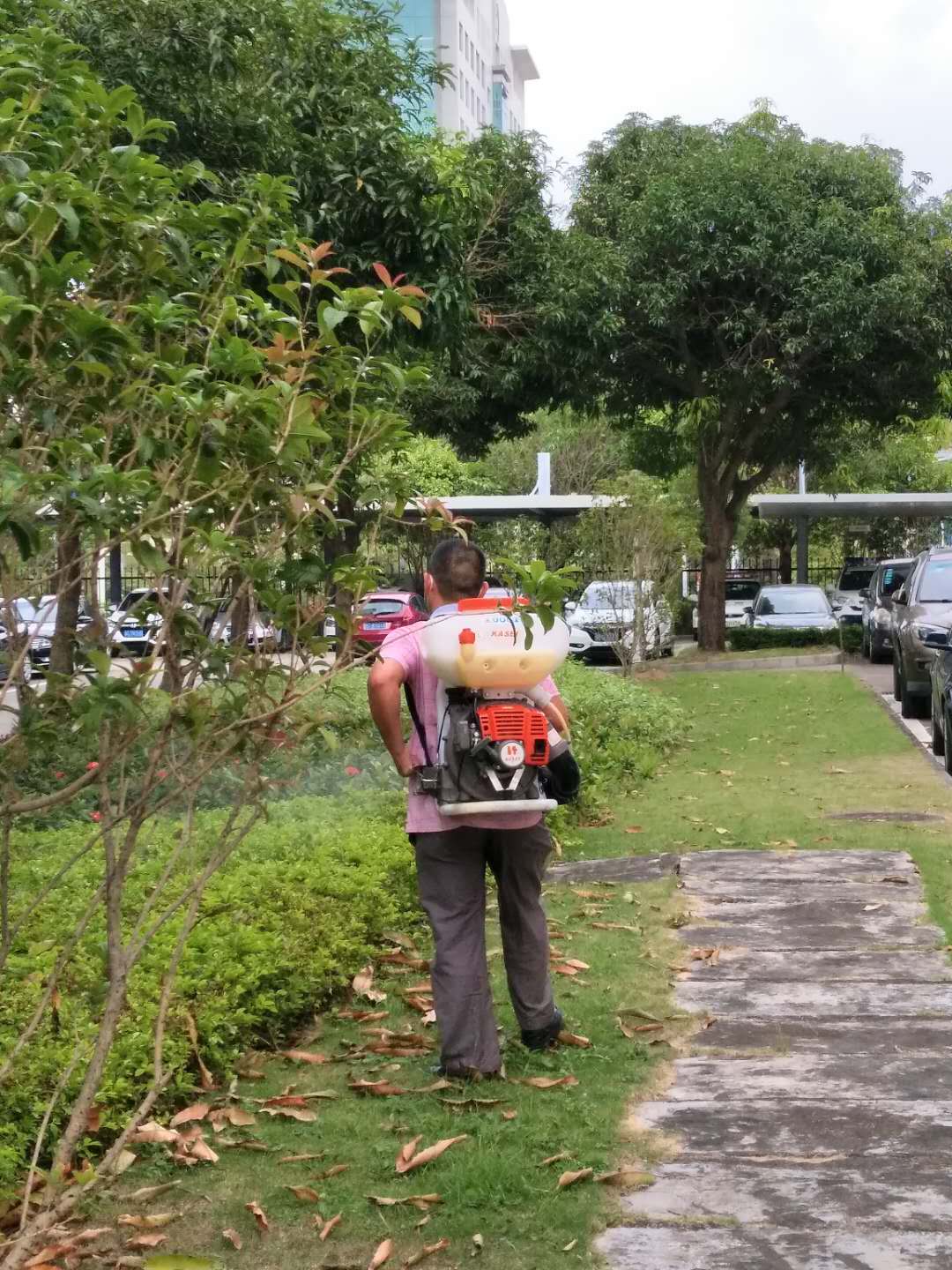 1620459342673275.jpg 1620459342673275.jpg