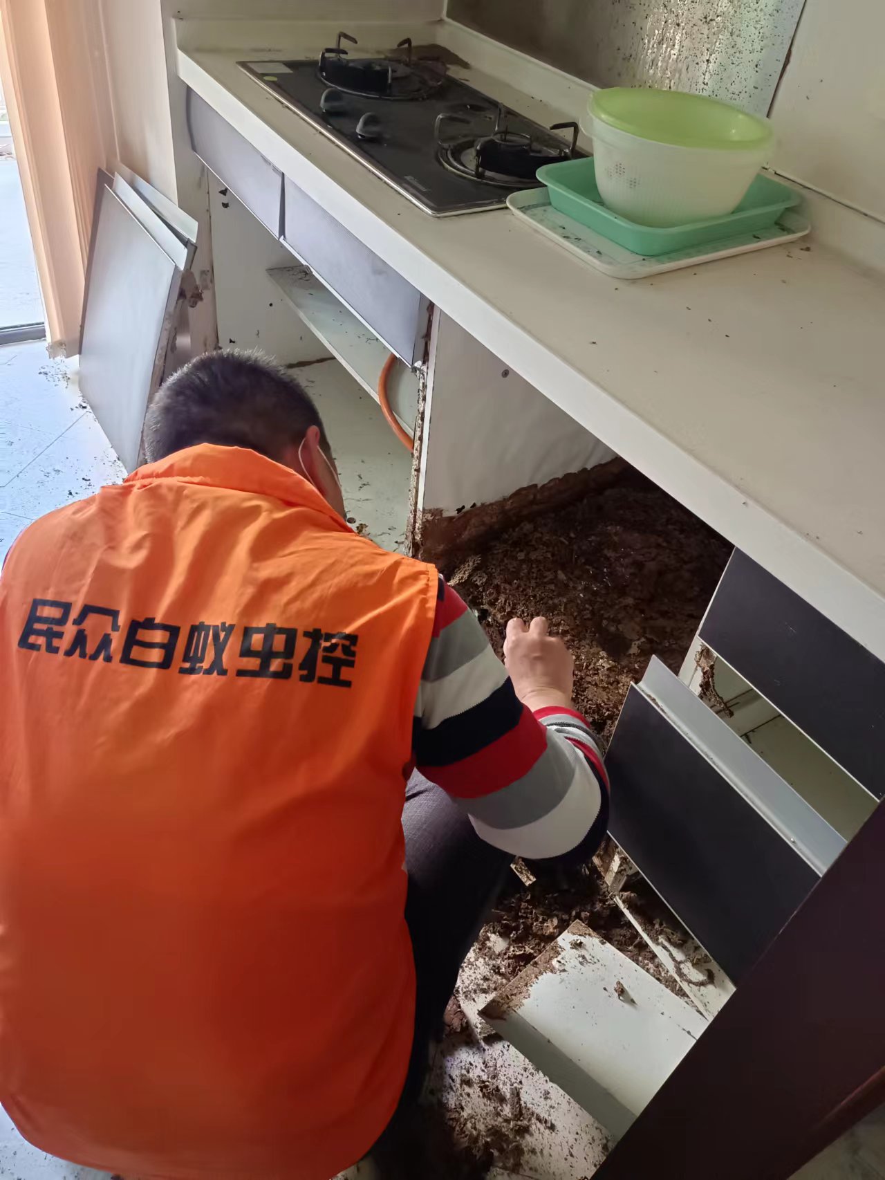 1690001375383800.jpg 1690001375383800.jpg