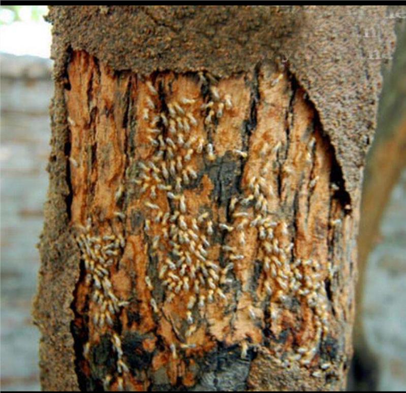 1697685427754519.jpg 1697685427754519.jpg